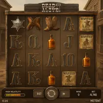 Snatch Casino - Dead or Alive 2 Slot Game - High Volatility
